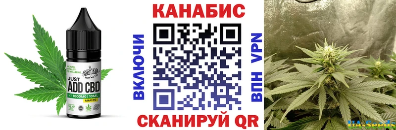 как найти   Избербаш  Canna-Cookies конопля 