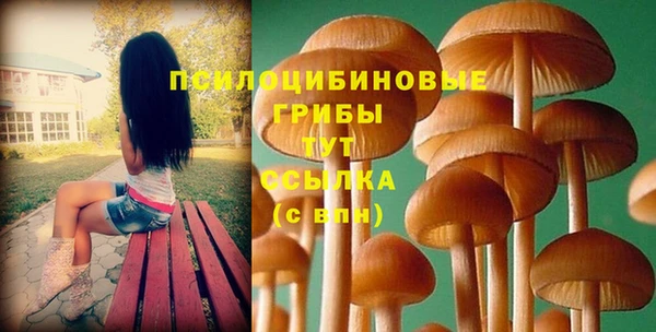 амф Абаза