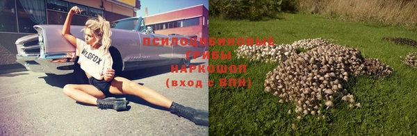ГАЛЛЮЦИНОГЕННЫЕ ГРИБЫ Алексеевка