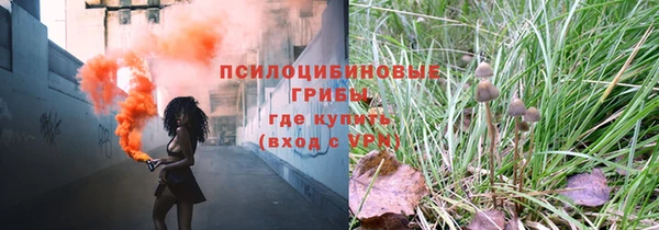 ГАЛЛЮЦИНОГЕННЫЕ ГРИБЫ Алексеевка