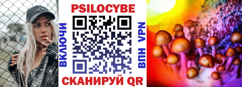 Псилоцибиновые грибы MAGIC MUSHROOMS  даркнет наркотические препараты  Избербаш  купить закладку 